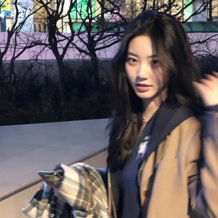 狮子王们的夏天